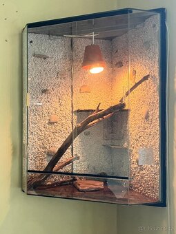 Terarium rohové - 2