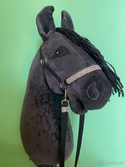 Hobby horse - 2
