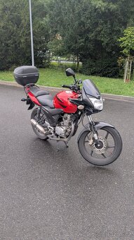 Honda CBF 125 - 2
