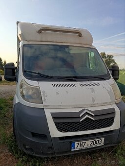 Auto na přepravu koní - 2