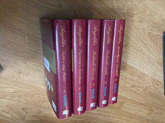 Anne Golon - Angelika - 2