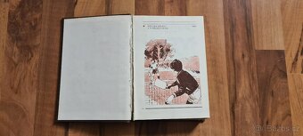 Kniha Velká encyklopedie her - Hry na hřišti a v tělocvičně - 2