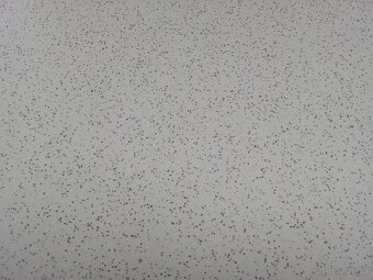 Dlažba RAKO 300 x 300x9 - 2