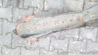 Jawa půlbuben zadní blatník - 2