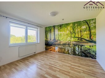 Pronájem bytu 3+1, 63 m² - Janovice nad Úhlavou - 2