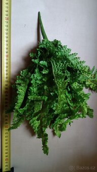 Umělé kapradí - 2