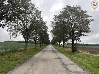 Prodej orné půdy o rozloze 7 001m2 - 2