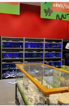 Prodej akvarijní stěny - 2