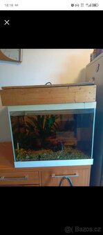 Akvarium - 2