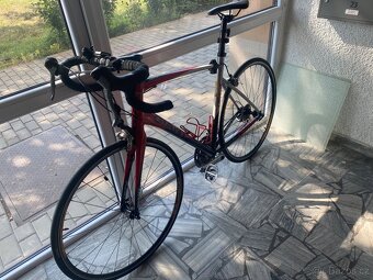 Kolo Giant - 2
