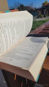 Kde jsi, když nejsi - Radka Třeštíková - 2