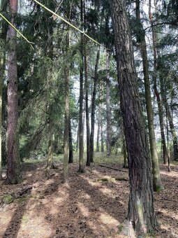 Prodám pozemky v k.ú. Drahov - 2