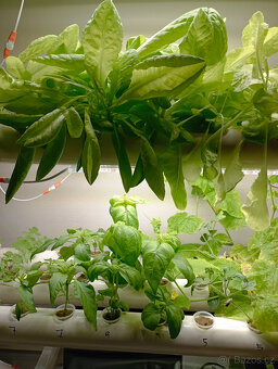 Aquaponický systém set - Hydroponic Grow Kit - 2