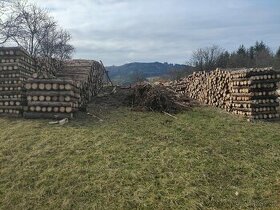 Řezání a štípání dřeva - 2