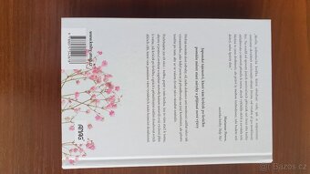 Kaizen - Japonská metoda postupné změny návyků - 2