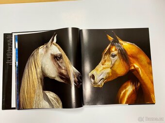 Koně Autor Gabrielle Boiselleová, Agnés Galletierová - 2