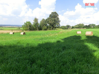 Prodej pozemku, 3885 m², Radenín - 2