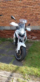 Benelli TRK 251 - 2