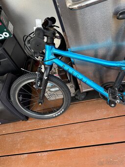 Rascal 16” - 2