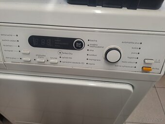 Susicka Miele - 2