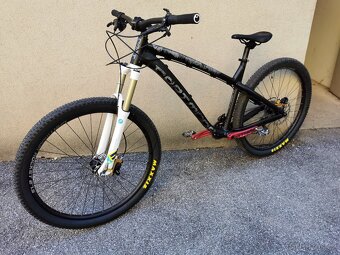 4X / freeride Dartmoor Hornet stavba na míru - 2
