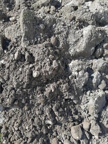 Za odvoz daruji pěknou zeminu na srovnání pozemku - 2