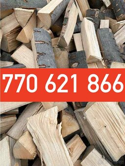 Palivové dřevo,tvrdé listnatý mix suché také máme - 2