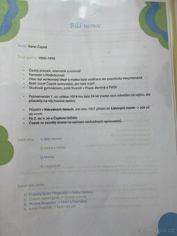 Maturitní četba - 2