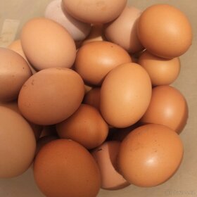 Domácí vajíčka - 2