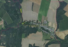 Aukce 0,74 ha lesa v k.ú. Cakov - 2
