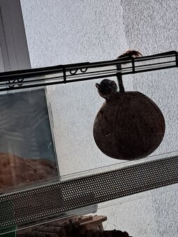 Prodam terarko i s plsikama Třinec - 2