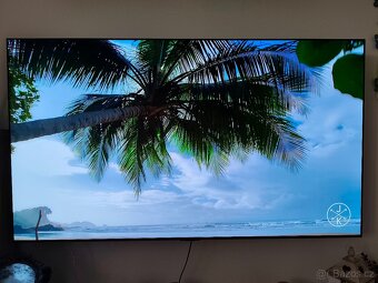 OLED LG Evo "65" (165cm) - 2