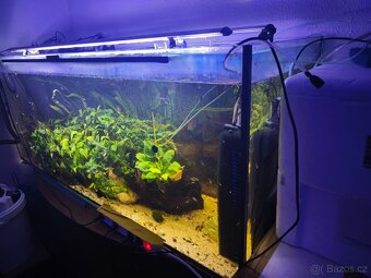 Akvárium 450 litrů - 2