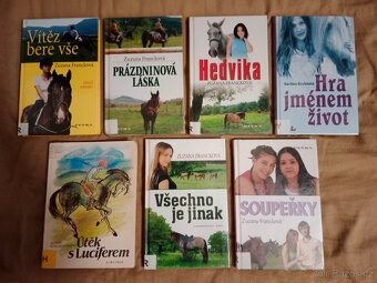 Dívčí romány (např. o koních), dětská lit., lit. pro mládež - 2