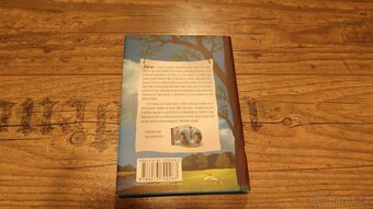 Sára – kniha první – O věčném přátelství dvou blízkých duší - 2