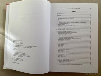 Akupunktura v teorii a praxi Autor Radomír Růžička - 2