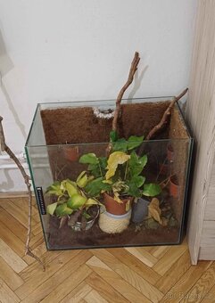 Akvarium/Florarium/Terarium - 2