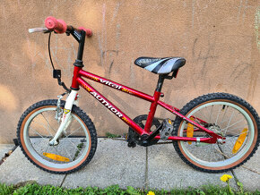 Kolo Author Vital 16 - 2