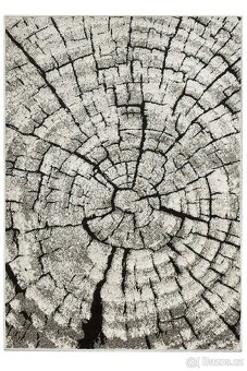 Kusový koberec fénix 200x300 rozměr - 2
