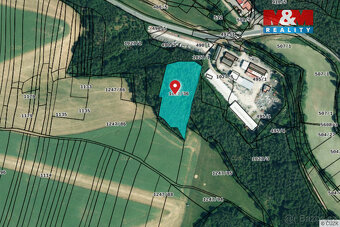 Prodej lesa, 6740 m², Kralovice - 2