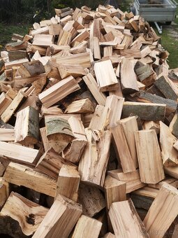 Palivové dřevo tvrdé Dub Javor jasan... štípané - 2