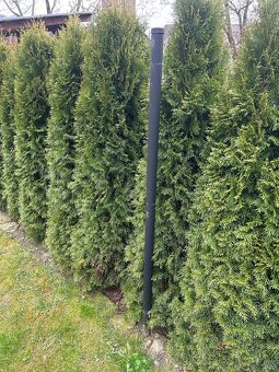 Pletivo + sloupky - 2