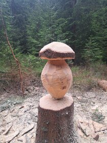 Dřevěné houby - 2