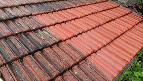 Čištění střech, fasád a zámkové dlažby - 2