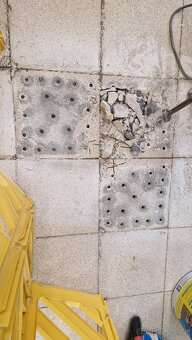 Údržba zeleňe zahradnické práce, drevostavby - 2
