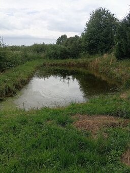 Chata, maringotka s rybníkem - 2
