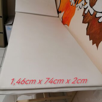 PODLOŽKY NA CVIČENÍ-PRAVÁ KŮŽE, VÝPLŇ MOLITAN, NEPOŠKOZENÉ - 2