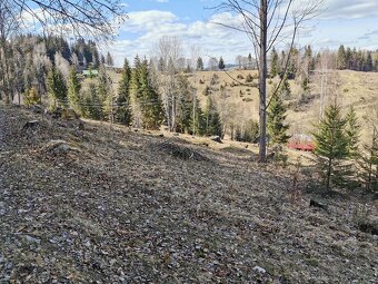 VYSOKOHORSKÝ Pozemok 12 000m2 s Potokom, Elektrikou, Voudo - 2