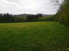 Zemědělské pozemky 6 hektarů louka Jilemnice Krkonoše - 2