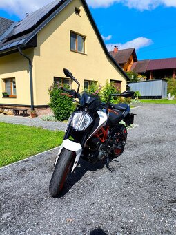 KTM Duke 390 2020 - 2